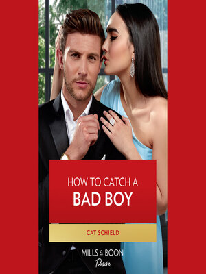 cover image of How to Catch a Bad Boy